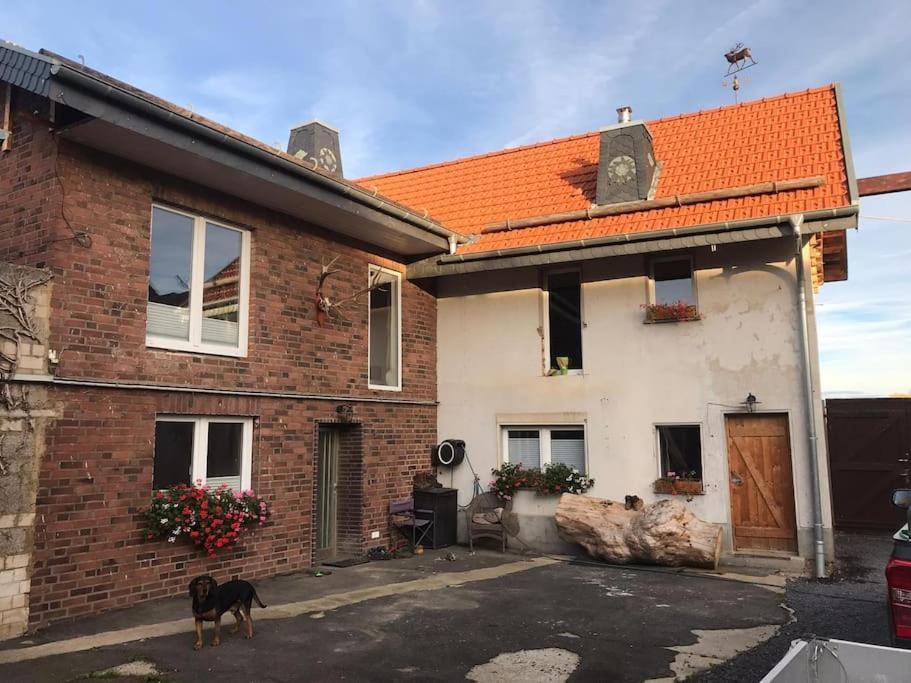 Ferienwohnung Felinenhof Weilerswist Ngoại thất bức ảnh